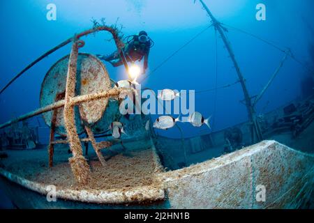 Scuba diver and Two-banded sea breams (Diplodus vulgaris) at shipwreck Navy ship Pinar I, TCGY111, Bodrum, Aegaeis, Turkey, Mediteranean sea Stock Photo