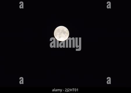 Beautiful full moon in the night sky. Full moon. Well guilt craters of the moon. Stock Photo