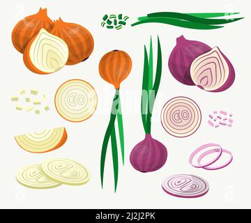 Fresh yellow and red onions vector illustrations set. Onions cut into rings and slices, whole ripe vegetables isolated on white background. Food, agri Stock Vector