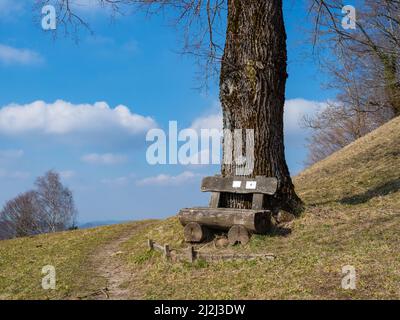 A beautiful bench at the side of a hiking trail invites for a rest. Situation close to Zurich, Switzerland. Stock Photo