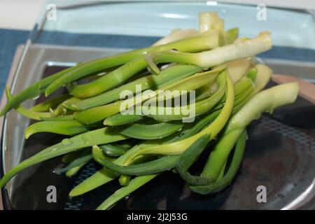 onion sprouts on a blue glass plate Stock Photo