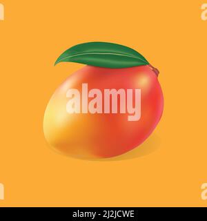 realistic mango frute vector illustration Stock Vector