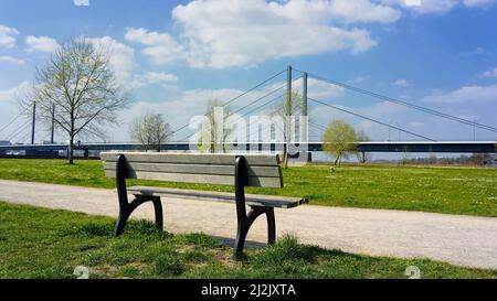 Public park bench on a sunny Spring day at Rheinpark in Düsseldorf, Germany. Stock Photo
