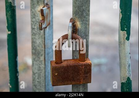 Rusty lock on the gate of a small gray container close-up. High quality photo Stock Photo