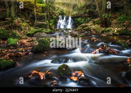 Goit Stock waterfall in autumn, Bingley, Bradford, West Yorkshire, England, UK Stock Photo