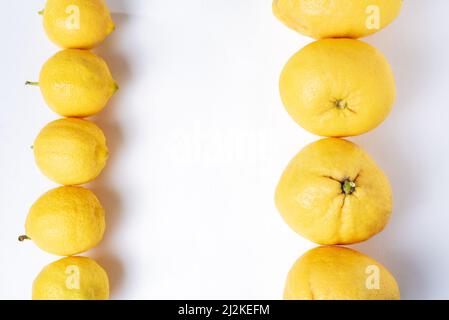 Two rows of lemons vertically, one of small lemons and another of lemons with various shapes on a white background. Stock Photo