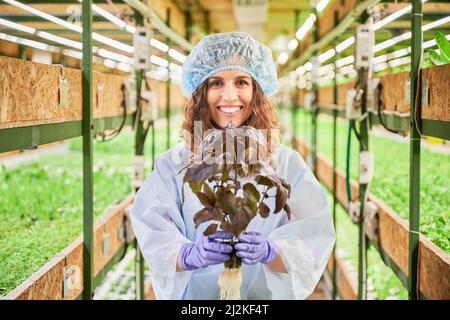 Woman in purple rubber gloves cleaning electric kettle with sponge Stock  Photo - Alamy