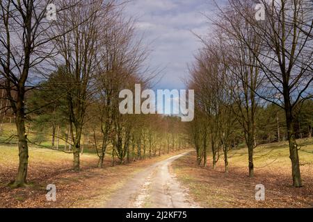 Curved path through the nature reserve De Paltz near Soest Stock Photo