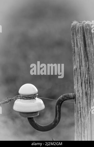 old porous fence post with a ceramic insulator Stock Photo - Alamy