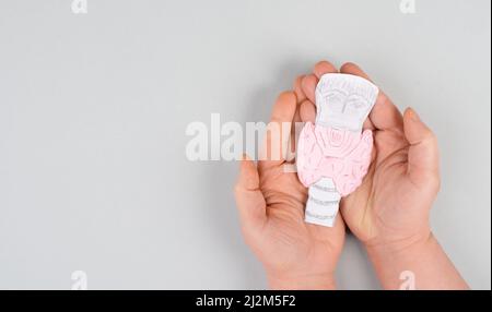 Holding thyroid organ in the hands, drawing paper cut out, hyperthyroidism and hypothyroidism, health issues, cancer, hashimoto disease Stock Photo