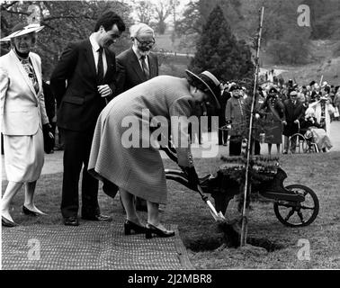 Queen Elizabeth II plants a tree before leaving Powis Castle in Wales. Picture taken 22nd April 1989 Stock Photo