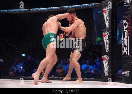 MANCHESTER, UK. APR 2ND Luke Riley lands the knock out blow on Jack Eglin during the Cage Warriors 136 event at the BEC Arena, Manchester on Saturday 2nd April 2022. (Credit: Pat Scaasi | MI News) Credit: MI News & Sport /Alamy Live News Stock Photo