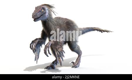 Velociraptor, illustration Stock Photo