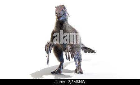 Velociraptor, illustration Stock Photo