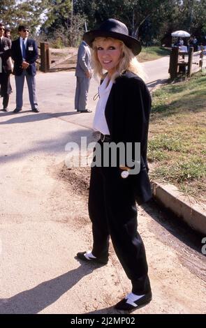 Donna Mills Circa 1980's Credit: Ralph Dominguez/MediaPunch Stock Photo