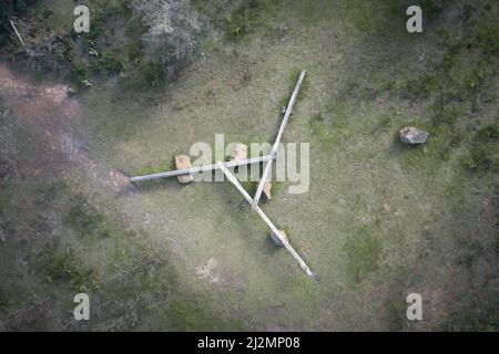 Wooden bech in the middle of the forest Stock Photo