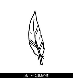 Bird feather isolated on white background. Vector hand-drawn illustration in doodle style. Perfect for cards, decorations, logo, various designs. Stock Vector