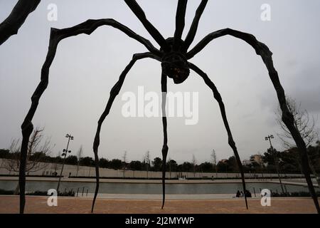 Louise Bourgeois' monumental Spider Maman installed at SNFCC