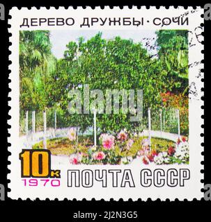 MOSCOW, RUSSIA - MARCH 13, 2022: Postage stamp printed in Soviet Union shows The Friendship Tree, serie, circa 1970 Stock Photo