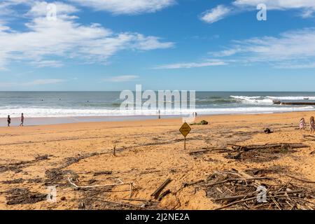 Driftwood washed up on Bilgola Beach in Sydney after the floods and rains in New South Wales, April 2022, Sydney,Australia Stock Photo