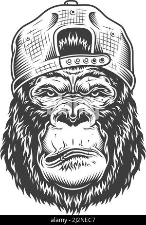 Serious gorilla in monochrome style in cap. Vector illustration Stock Vector