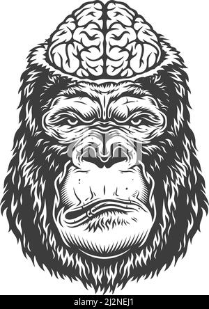 Serious gorilla in monochrome style with brain. . Vector illustration Stock Vector