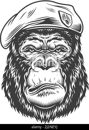 Serious gorilla in monochrome style in the beret. Vector illustration Stock Vector