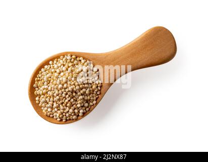 White quinoa seeds in a wooden spoon isolated on a white background. White quinoa seeds for gluten free dieting. Cooking chenopodium quinoa concept. Stock Photo