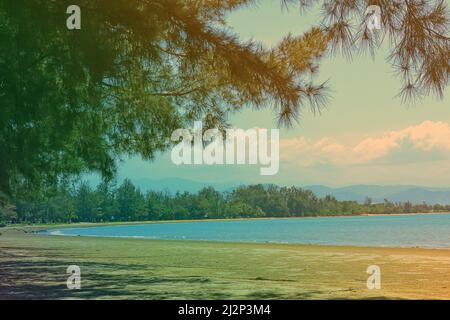 Trees against blue sky at Tanjung Aru Beach, Kota Kinabalu, Sabah, Malaysia. Stock Photo