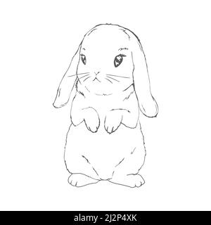 sketch of a cute rabbit black and white, hand-drawn on a white background. Vector Illustrations. Stock Vector