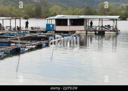 Kota Kinabalu, Malaysia - March 23, 2019: Small fish farm at Mengkabong River, fishermen are on floating pontoon Stock Photo