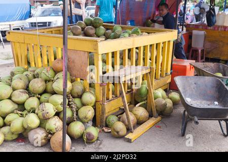 Kota Kinabalu, Malaysia - March 23, 2019: Kota Kinabalu marketplace, coconuts for sale are in yellow wooden container, local seller is nearby Stock Photo