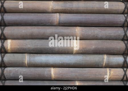 Brown bamboo background with texture for banner, thick, old bamboo. Stock Photo