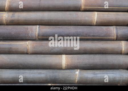 Old bamboo background with texture for banner, thick bamboo. Stock Photo