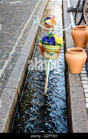 Freiburg im Breisgau (Baden-Württemberg, Germany): „Bächle“ in der Altstadt; rinnel, small cannels filled with water, in the old town Stock Photo