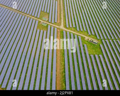Aerial drone shot. Solar panels farm in a field near Sittingbourne in Kent, England. Stock Photo