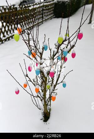 Colorful easter eggs with fresh snoe Stock Photo