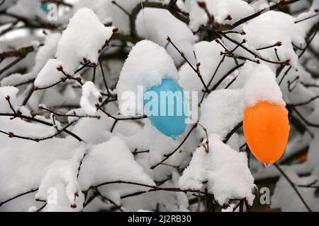 Colorful easter eggs with fresh snoe Stock Photo