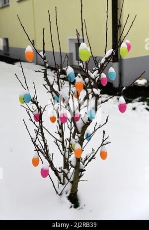 Colorful easter eggs with fresh snoe Stock Photo