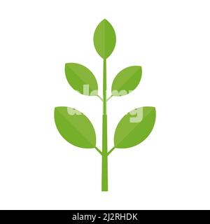 Branch with green leaves. Plant growth. Vector illustration isolated. Stock Vector