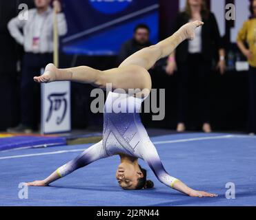 Norman, OK, USA. 2nd Apr, 2022. California's Andi Li performs her floor routine during the Finals of the NCAA Women's Gymnastics Norman Regional at the Lloyd Noble Center in Norman, OK. Kyle Okita/CSM/Alamy Live News Stock Photo