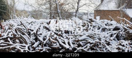 Large firewood stack in wintertime covered with cold snow Stock Photo