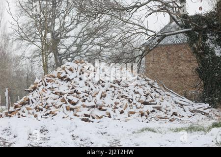 Large firewood stack in winter snow Stock Photo