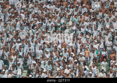 SP - Sao Paulo - 04/03/2022 - PAULISTA 2022 FINAL, PALMEIRAS X SAO PAULO -  Palmeiras player Raphael Veiga celebrates his goal during a match against Sao  Paulo at the Arena Allianz