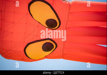 Austin, Texas, USA. 3 April, 2022. A squid provided by Go Big or Go Home kite flying organisation. The 93rd ABC Kite Festival returned to Zilker Park Sunday. Thousands of visitors flew colourful kites across the 350 acre park.  Credit: Sidney Bruere/Alamy Live News Stock Photo