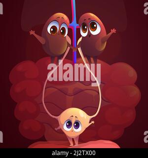 Kidneys and bladder funny cartoon characters. Anatomical positive personages, internal human body organs with cute smiling faces holding hands. Medical education for kids, anatomy, Vector illustration Stock Vector