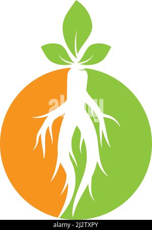 Ginseng logo illustration vector template Stock Vector