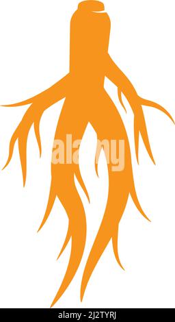 Ginseng logo illustration vector template Stock Vector