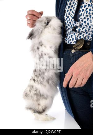 angora Mini Lop in front of white background Stock Photo