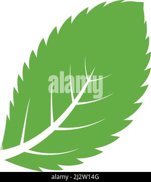 Mint leaf logo illustration vector Stock Vector